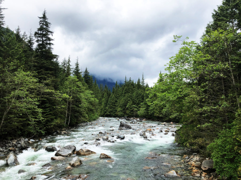 Gold Creek - Golden Ears