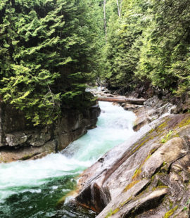 Lower Fall - Golden Ears