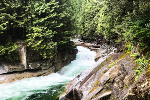 Lower Fall - Golden Ears