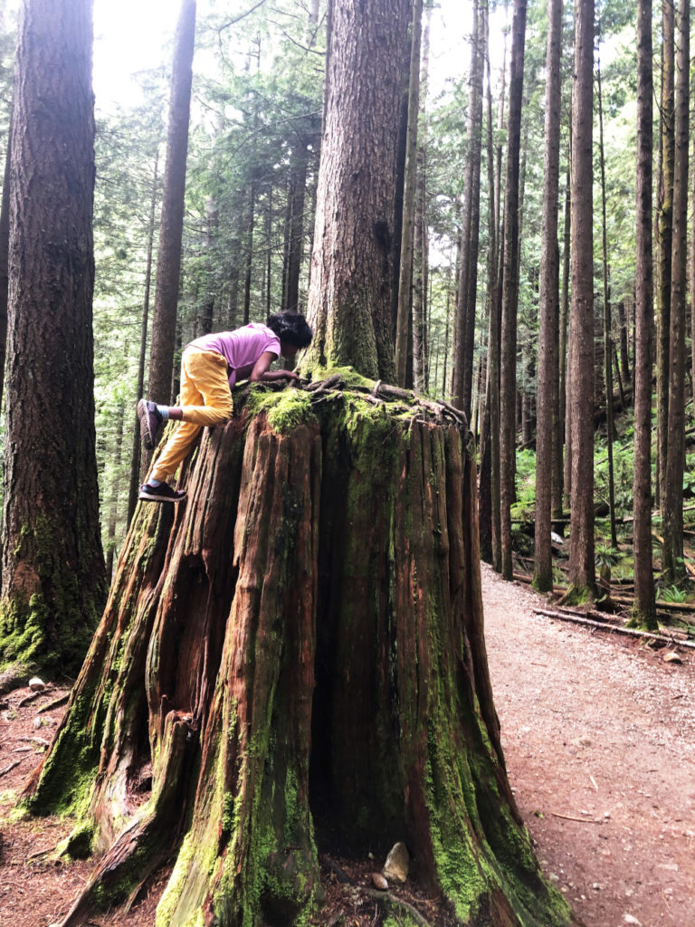 Golden Ears Provincial Park