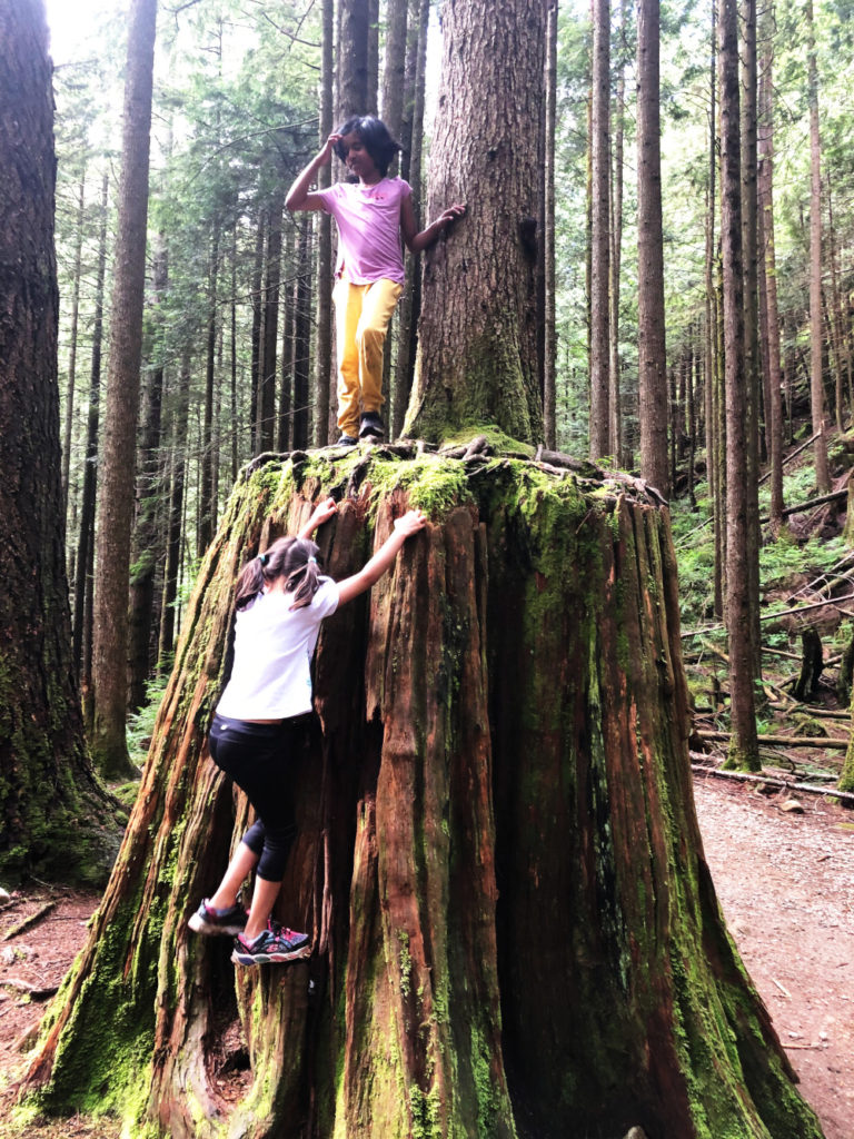 Golden Ears Provincial Park
