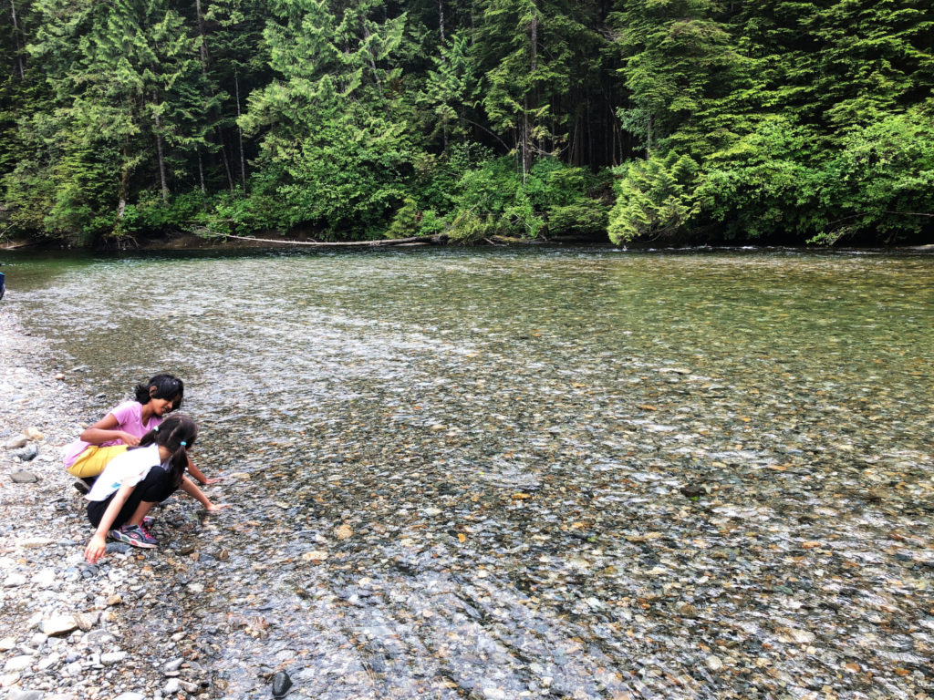 Viewpoint Beach - Golden Ears