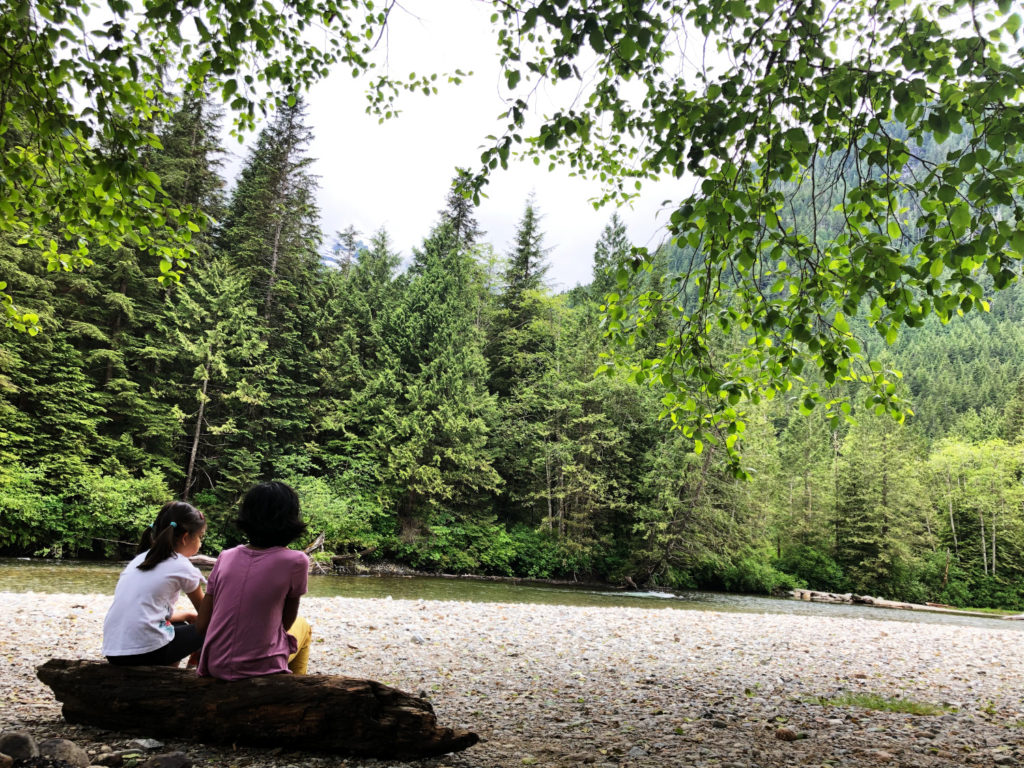 Viewpoint Beach - Golden Ears