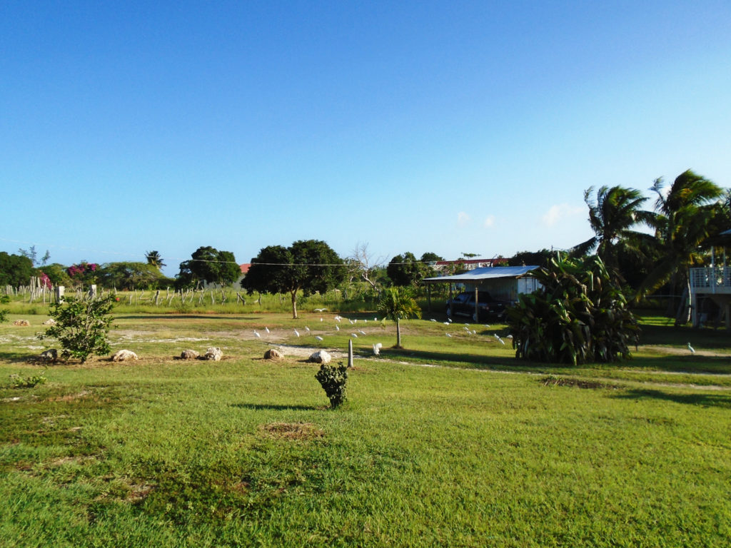 Bebe's Place Treasure Beach