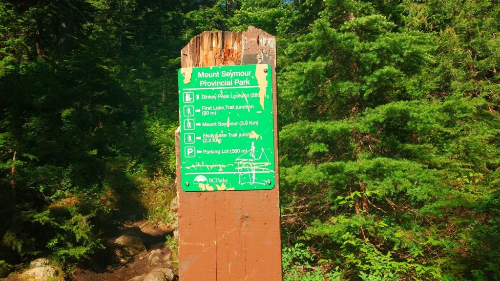 Mount Seymour First Peak Hike