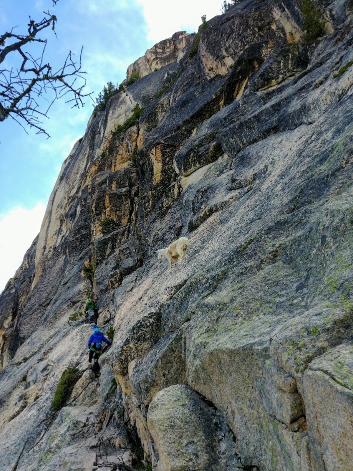 Pitch 1 - SEWS Southwest Rib