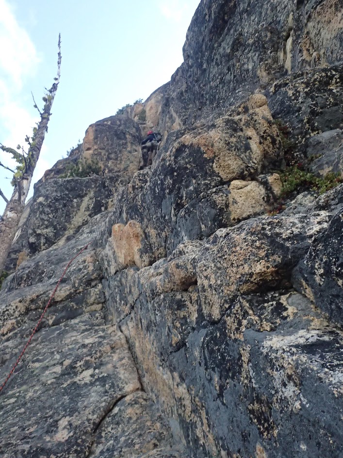 Pitch 1 - SEWS Southwest Rib