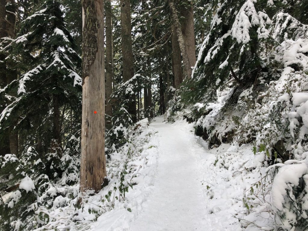 St. Mark's Summit - Howe Sound Crest Trail