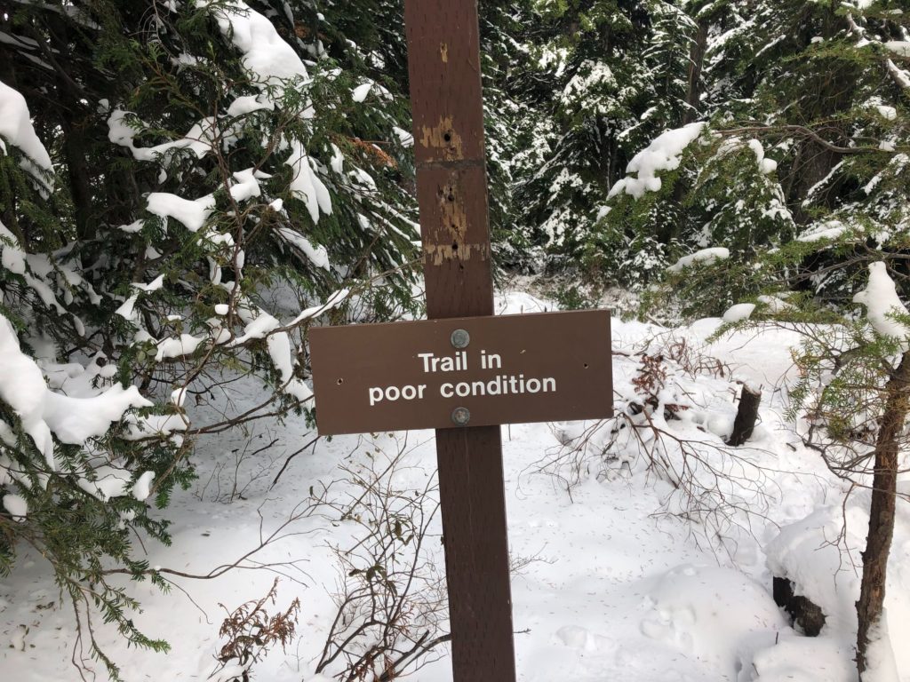 St. Mark's Summit - Howe Sound Crest Trail