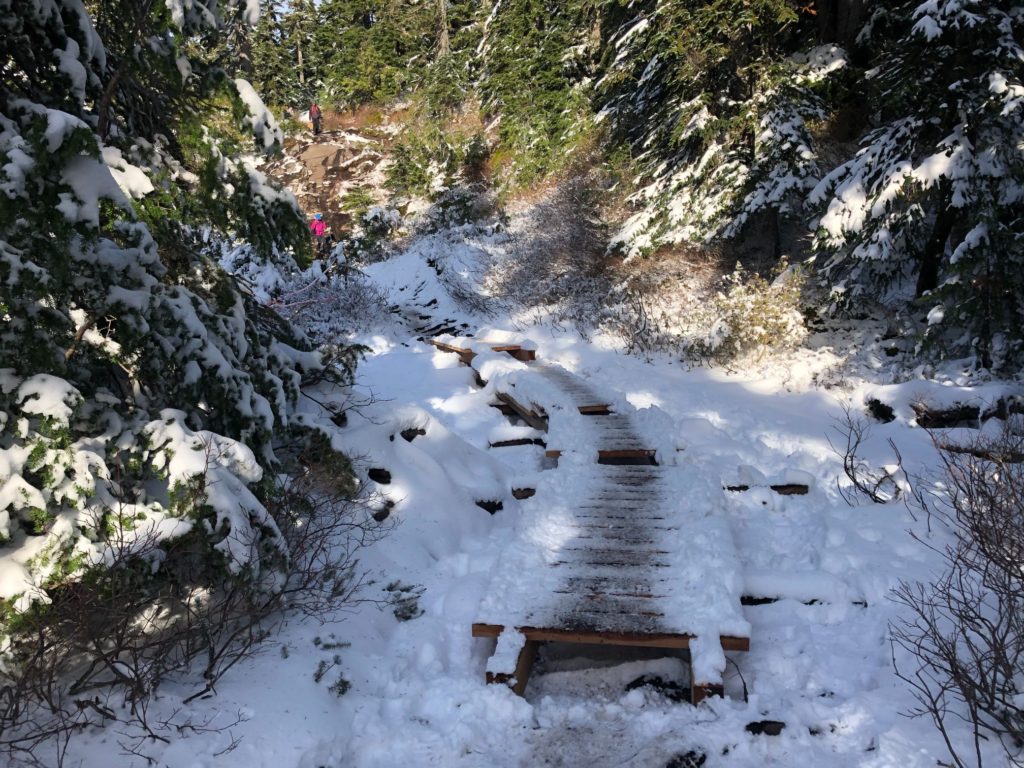 St. Mark's Summit - Howe Sound Crest Trail