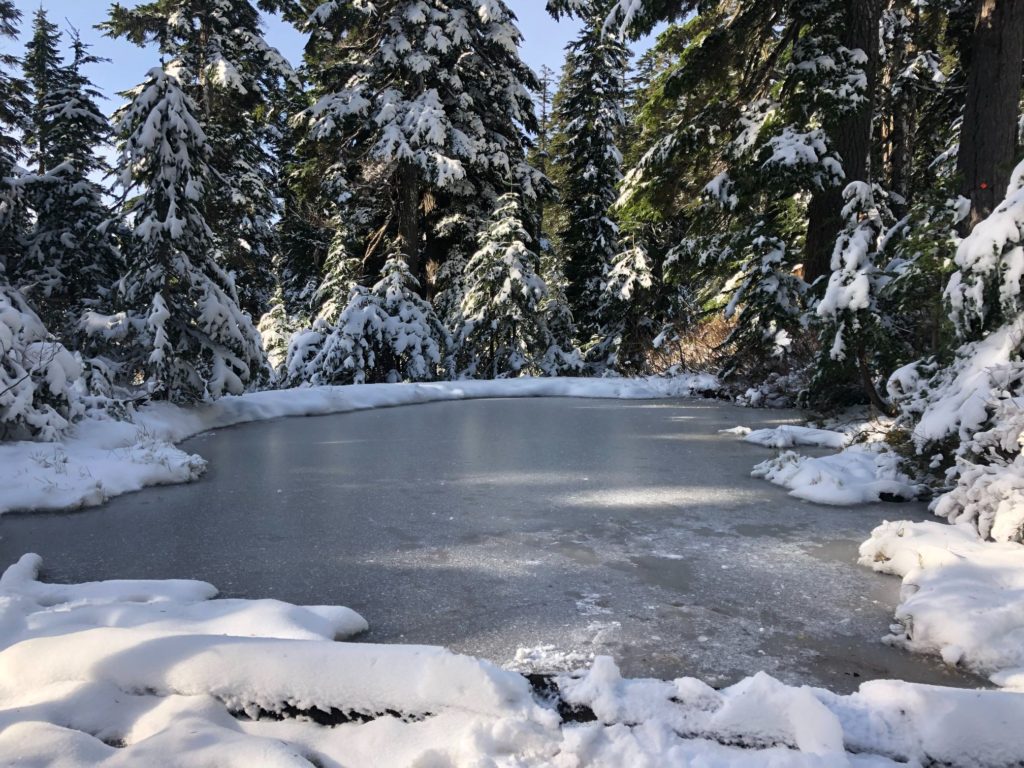 St. Mark's Summit - Howe Sound Crest Trail
