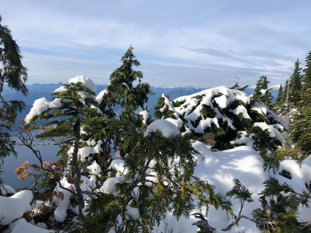 St. Mark's Summit - Howe Sound Crest Trail