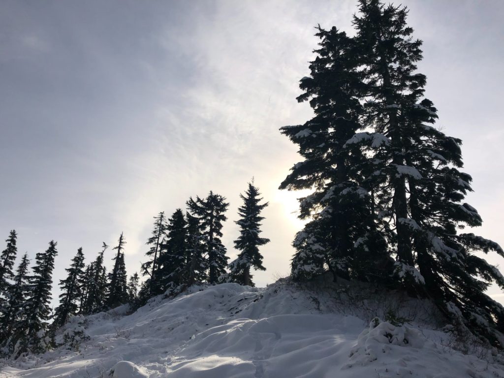 St. Mark's Summit - Howe Sound Crest Trail
