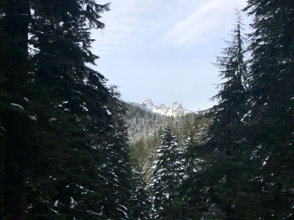 St. Mark's Summit - Howe Sound Crest Trail