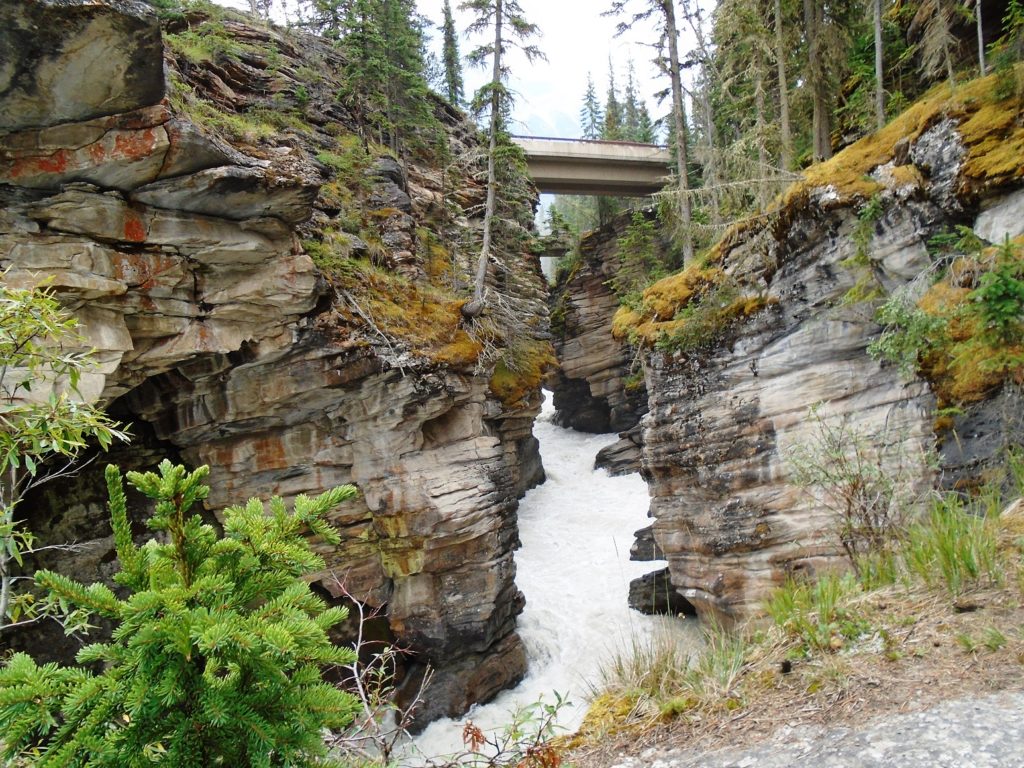 Athabasca Falls