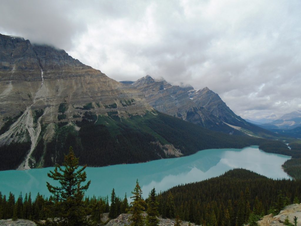 Peyto Lake - Canadian Rockies