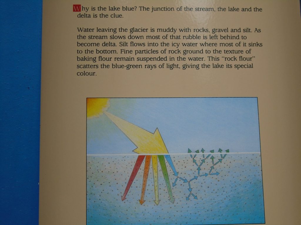 Peyto Lake - Canadian Rockies