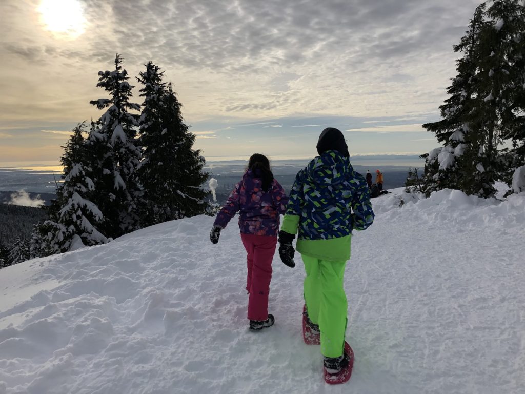 Dog Mountain Mt. Seymour