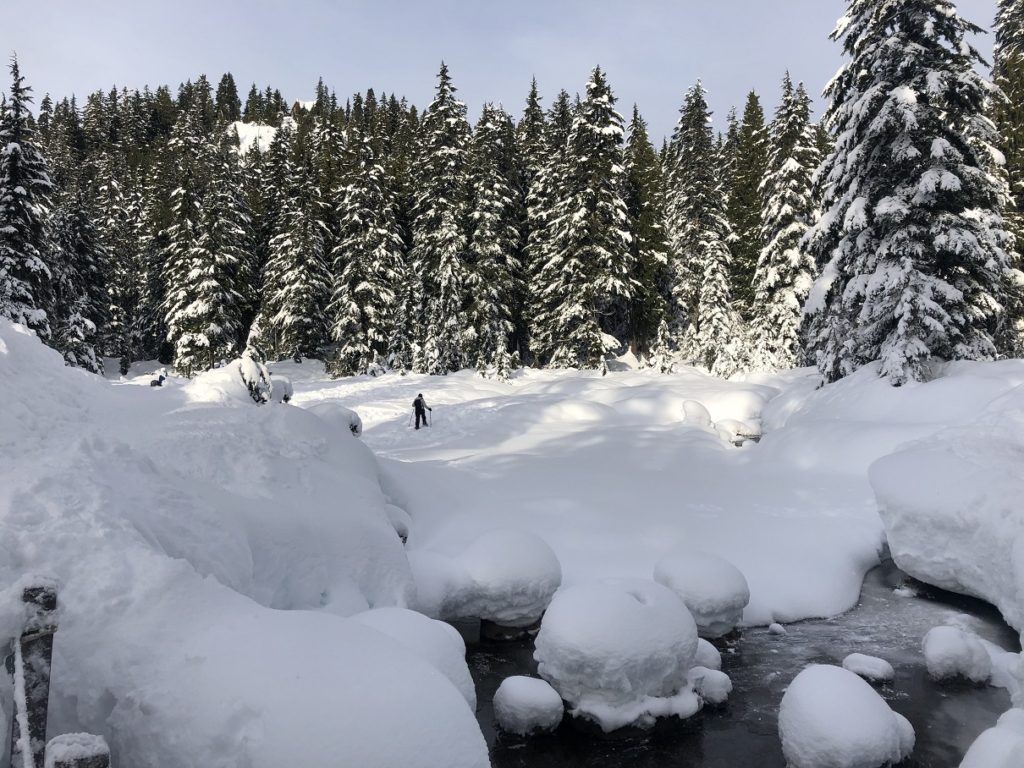 First Lake Dog Mountain