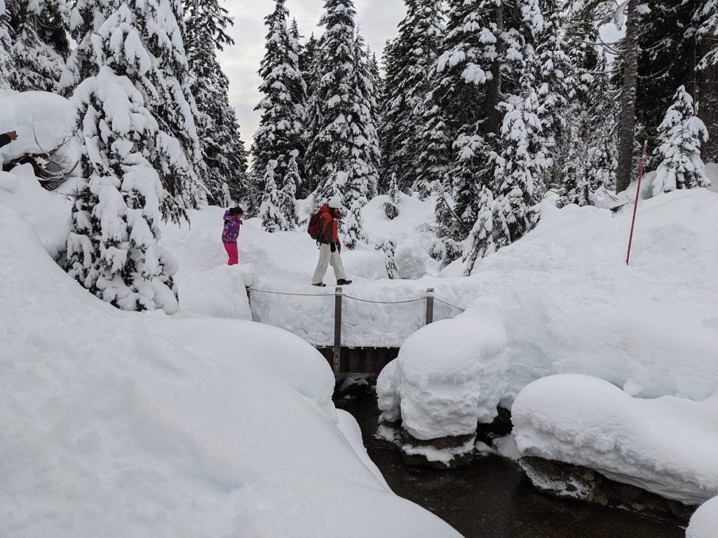 First Lake Dog Mountain Trail