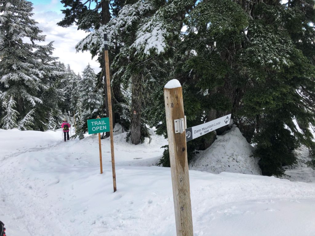 Thunderbird Ridge Snowshoeing