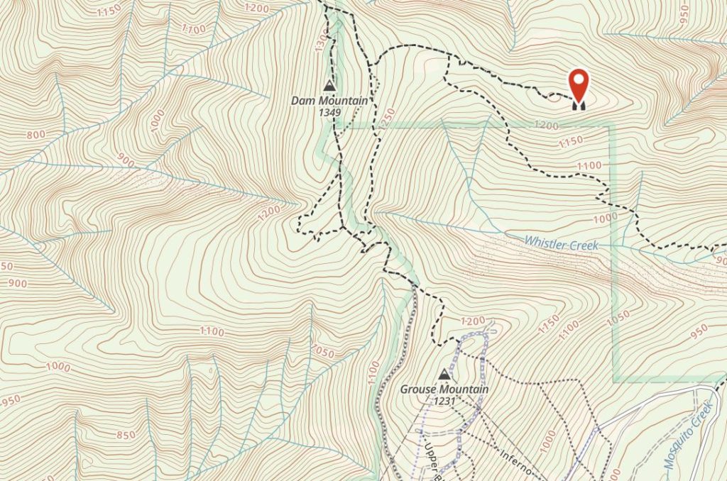 Thunderbird Ridge Grouse