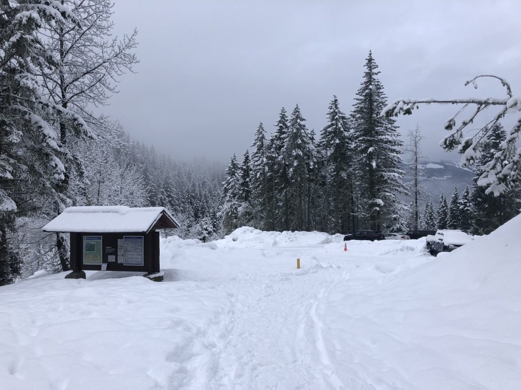 Garibaldi Lake Winter Hike