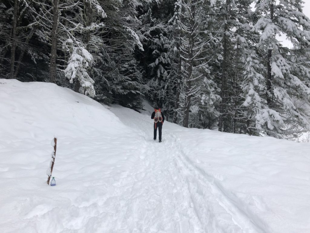Garibaldi Lake Winter Hike