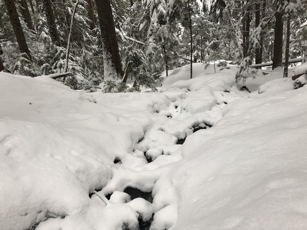 Garibaldi Lake Winter Hike
