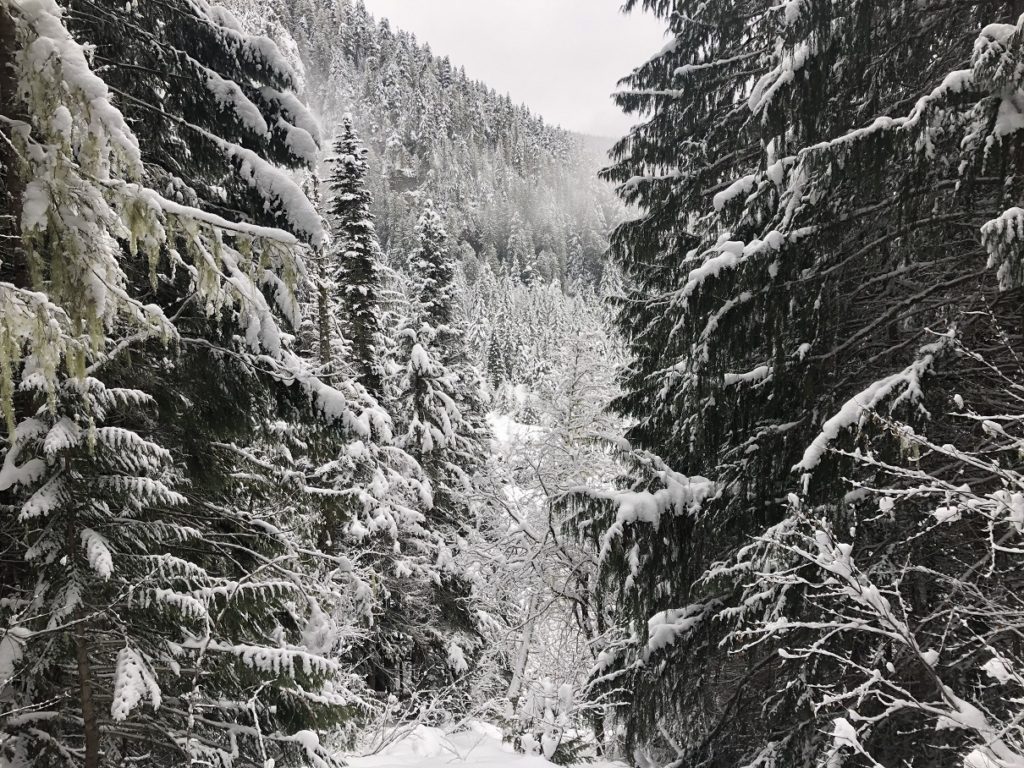 Garibaldi Lake Winter Hike