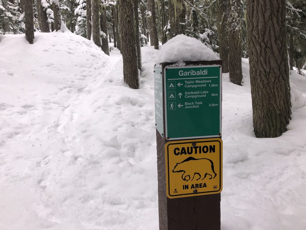 Garibaldi Lake Winter Hike