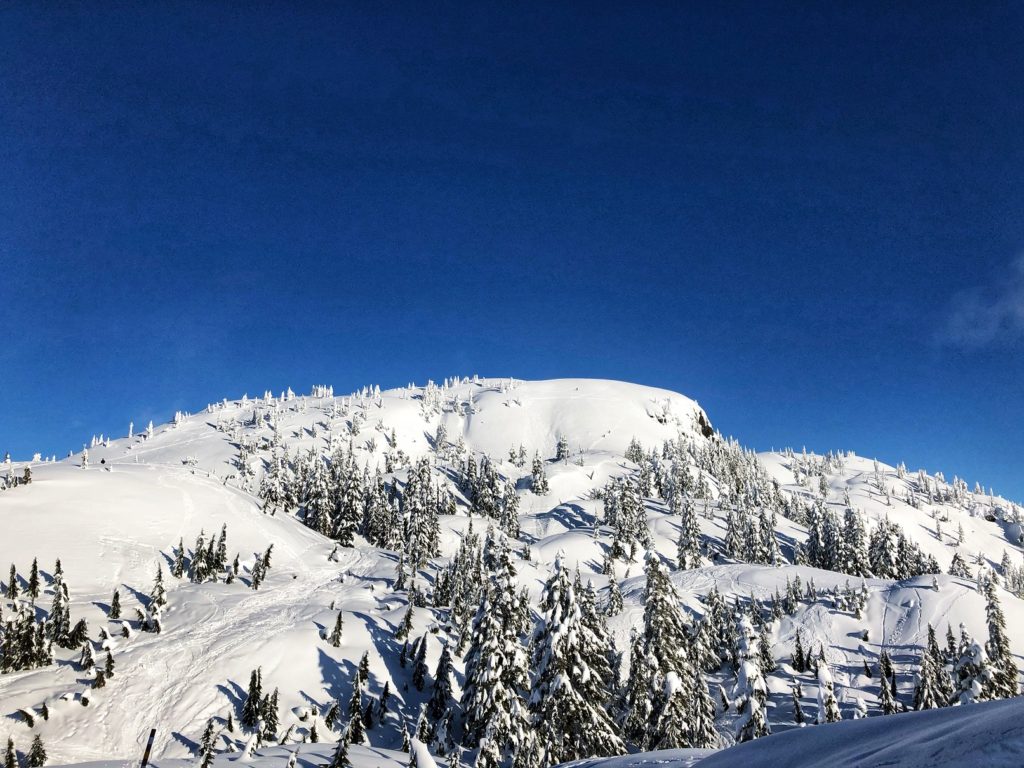 Mount Seymour Winter Hike