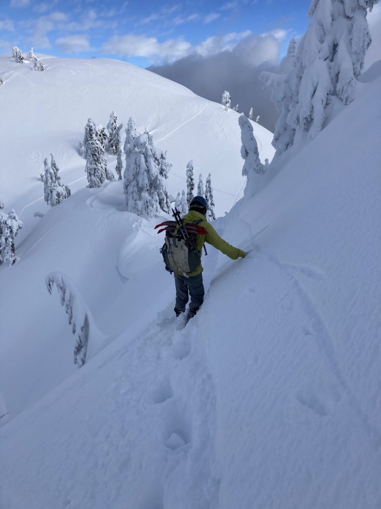 Mount Seymour Winter Hike
