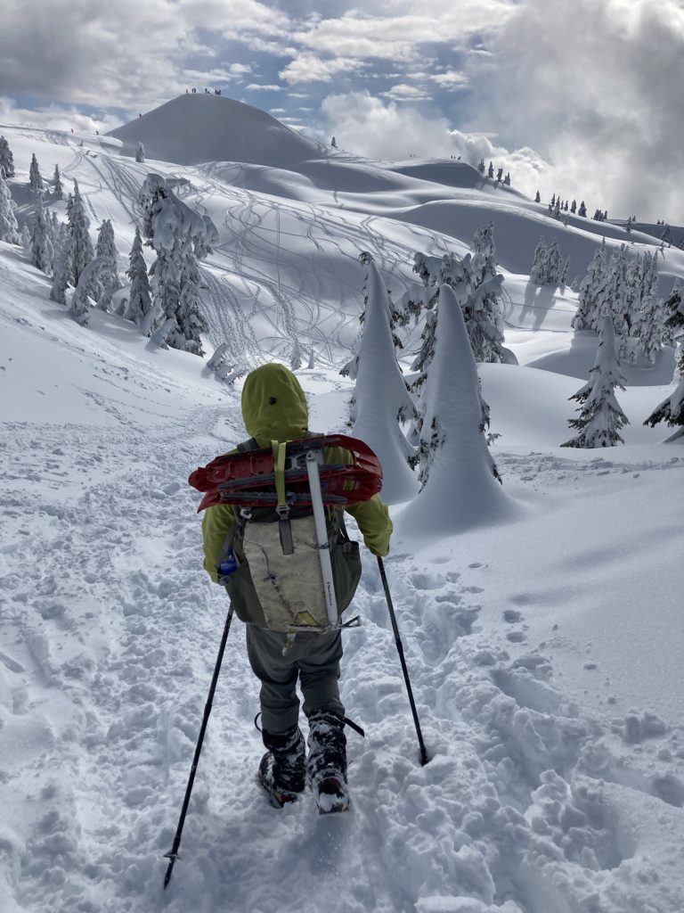 Mount Seymour Winter Hike