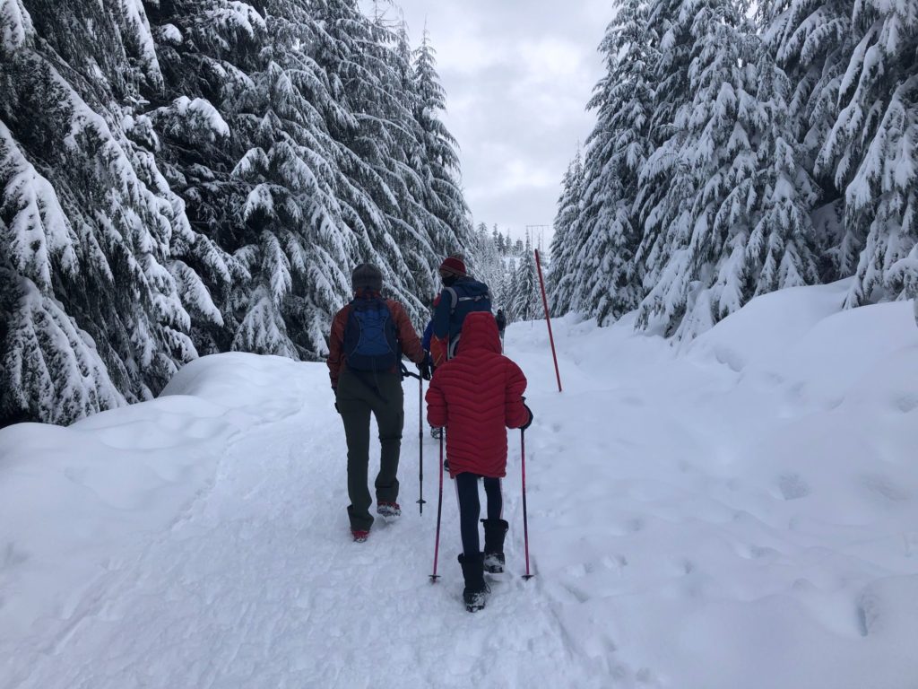 Hollyburn Mountain Winter Hike