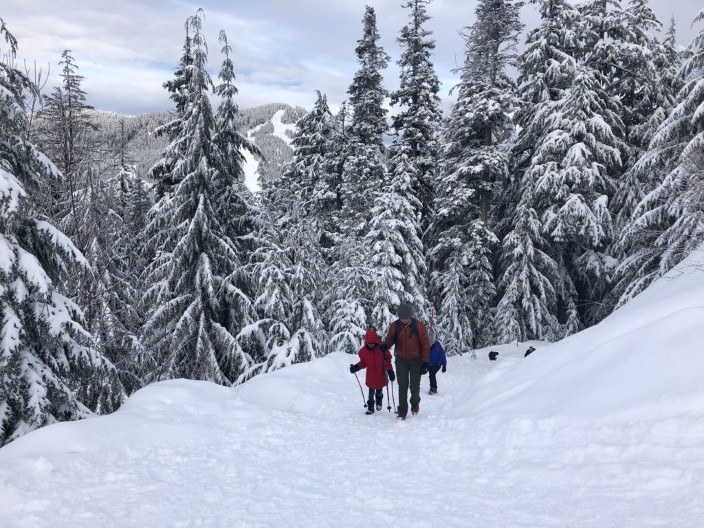 Hollyburn Mountain Winter Hike