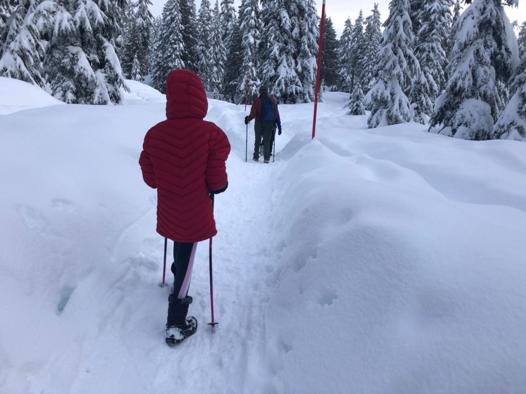 Hollyburn Mountain Winter Hike