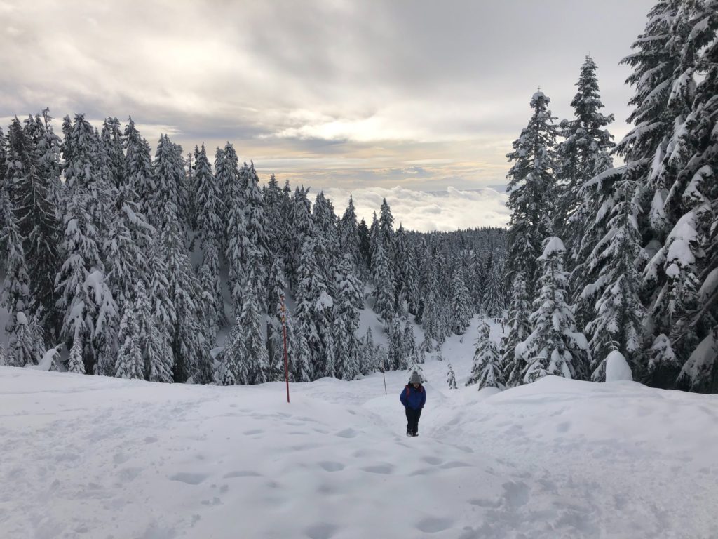 Hollyburn Mountain Winter Hike
