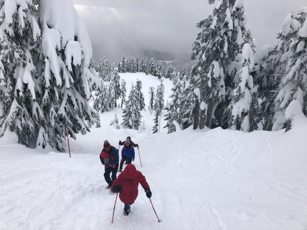 Hollyburn Mountain Winter Hike