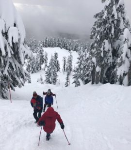 Hollyburn Mountain Winter Hike