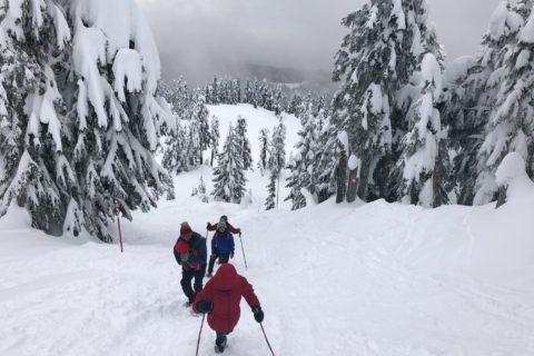 Hollyburn Mountain Winter Hike