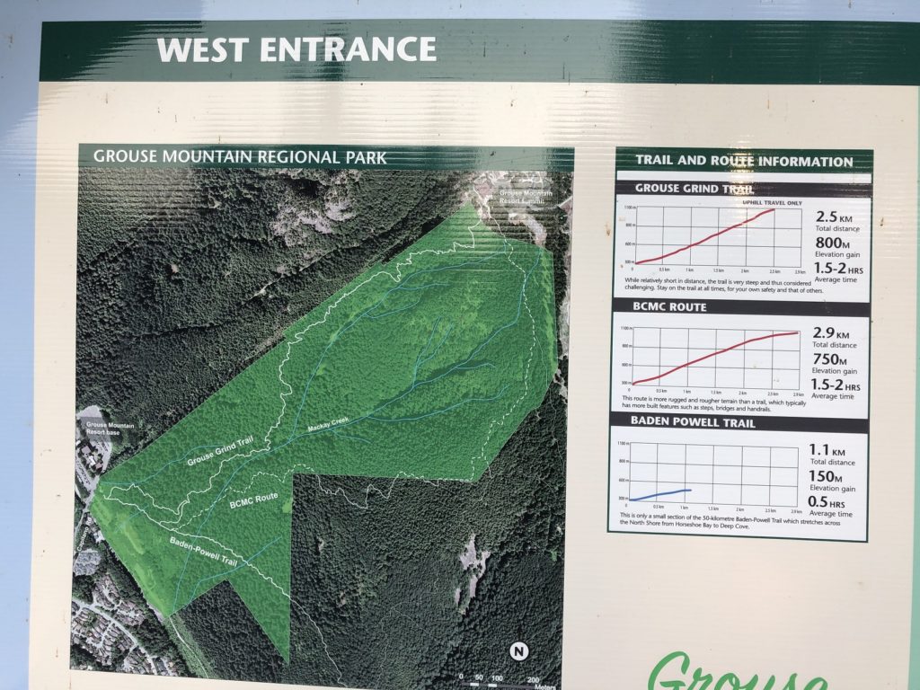 Grouse Mountain Trails - great for Muscular Endurance Training for Mountaineering