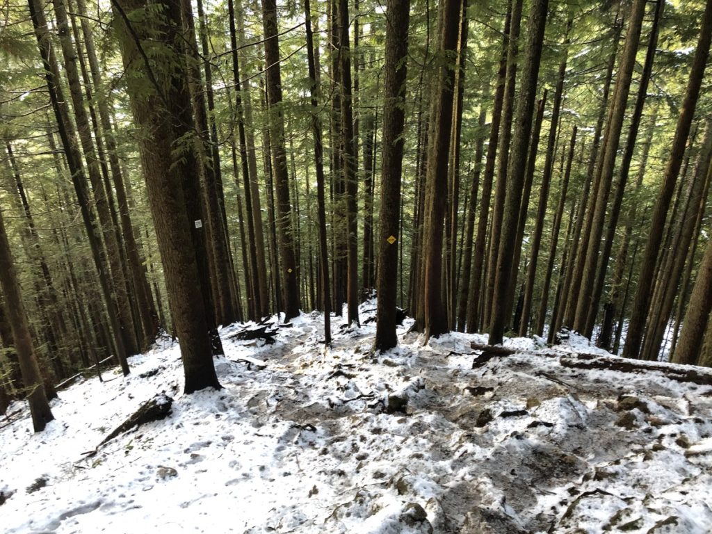 BCMC Trail - Muscular Endurance Training for Mountaineering