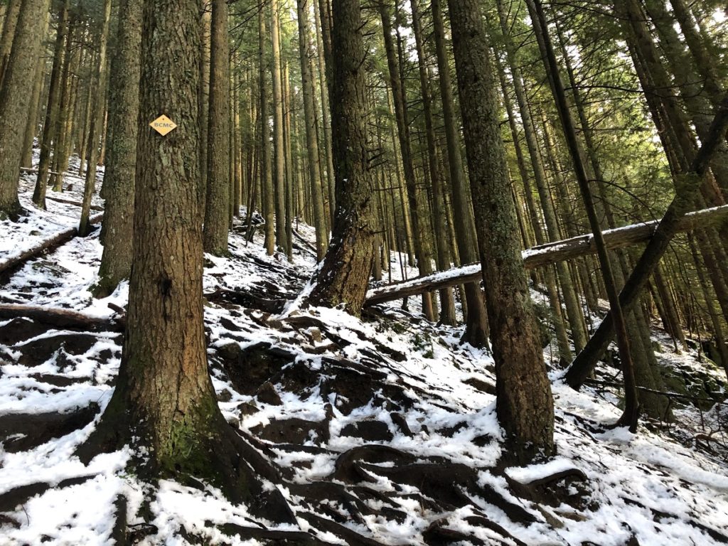 BCMC Trail - Muscular Endurance Training for Mountaineering