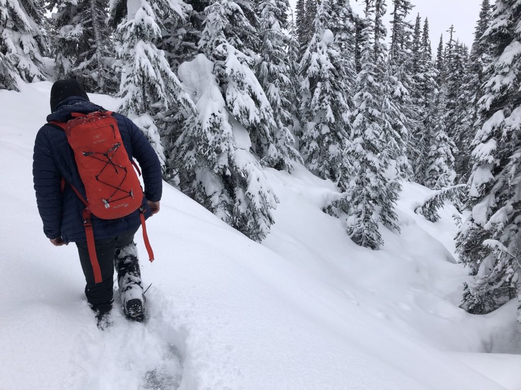 Taylor Meadows to Garibaldi Lake Snowshoeing