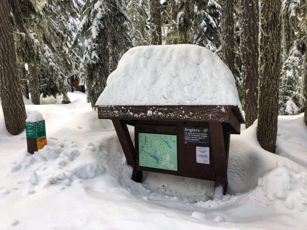 Taylor Meadows - Garibaldi Lake Trail Junction