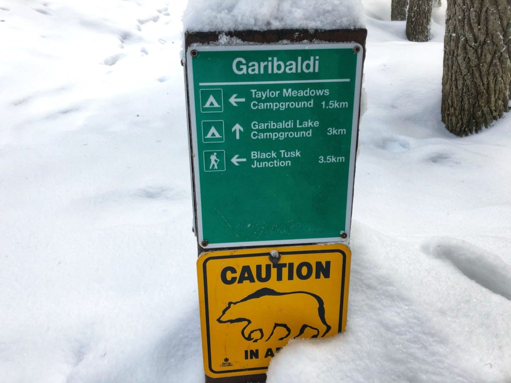 Taylor Meadows - Garibaldi Lake Trail Junction