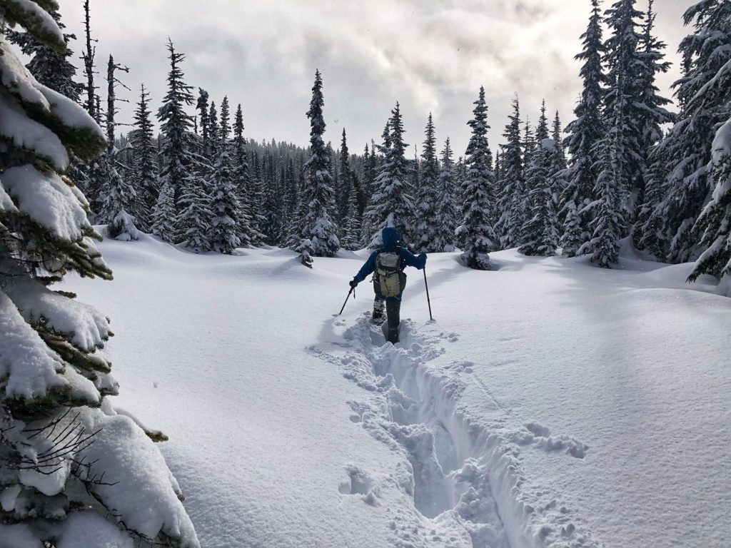 Snowshoeing to Taylor Meadows