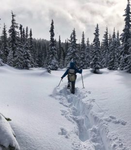 Taylor Meadows in Winter