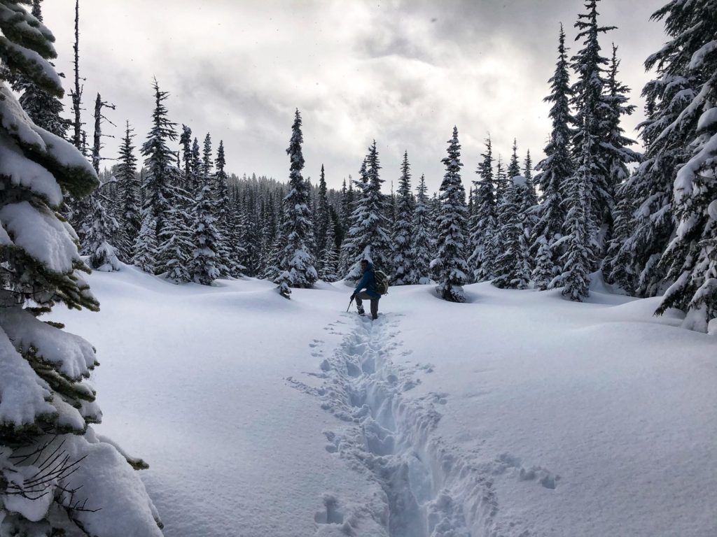Taylor Meadows in Winter